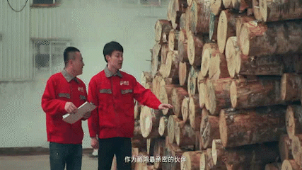 从一张板材到千万家 兑现生活的美好