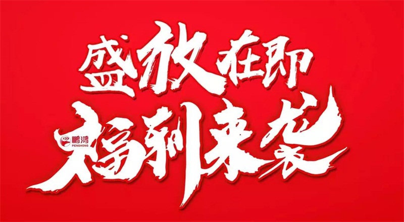 再拓疆域！鹏鸿We+定制&红星美凯龙联袂亮相乌鲁木齐