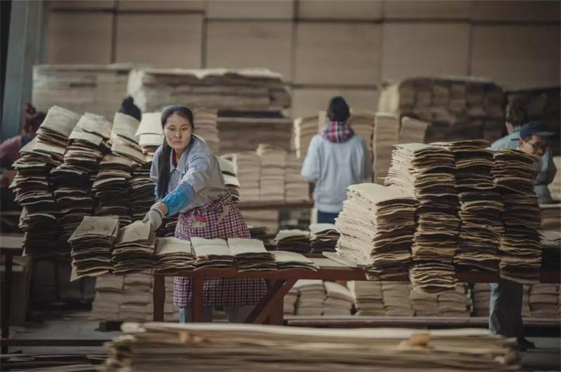 鹏鸿之造——鹏鸿22周年特别奉献品质篇