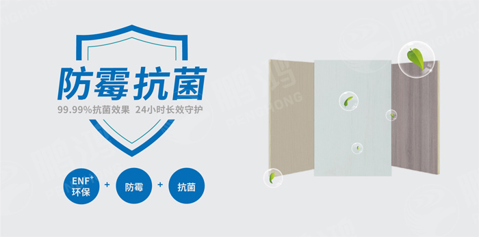 抗菌防霉木质装饰板行业标准研讨工作会圆满召开